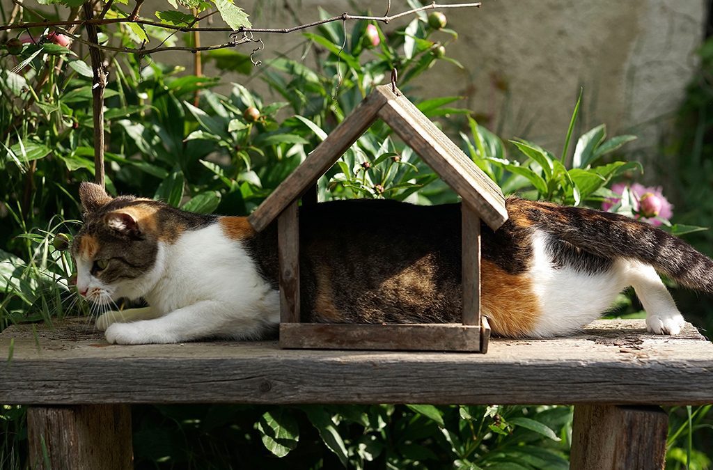Assicurazione Decennale in Francia e Monaco