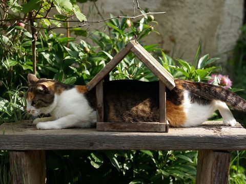 Assicurazione Decennale in Francia e Monaco